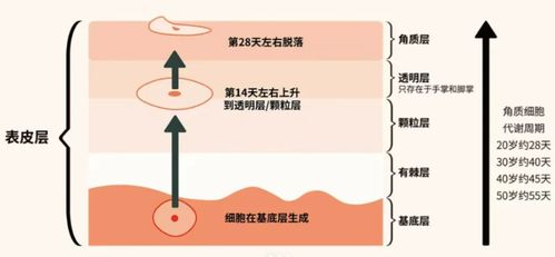 2024祛斑段位榜 寶藏級(jí)產(chǎn)品親測(cè)，還你干凈無(wú)瑕肌膚